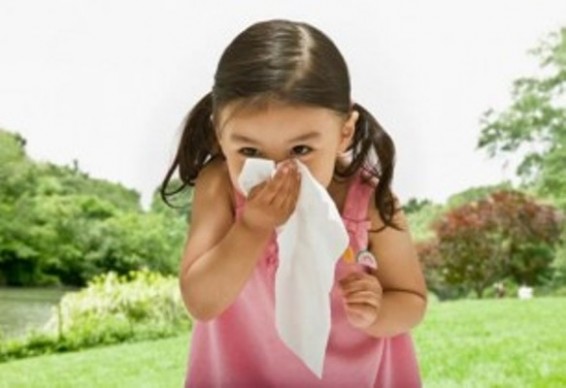 5 մթերք, որոնք օգնում են պայքարել մանկական ալերգիայի դեմ