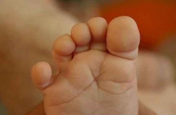 Կոտայքի մարզում՝ խոտերի վրա, նորածնի դիակ է հայտնաբերվել. «Փաստինֆո»