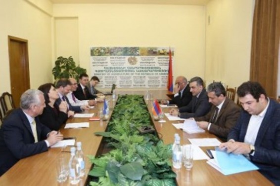 ՀՀ գյուղատնտեսության նախարարն ընդունել է ՄԱԿ-ի Պարենի և գյուղատնտեսության կազմակերպության պատվիրակությանը