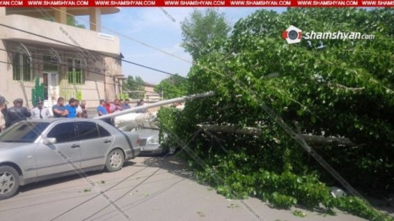 Արտաշատում հաստաբուն բարդին արմատից պոկվել եւ ընկել է «Մերսեդեսների» վրա՝ փակելով ճանապարհը