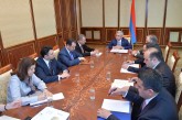 Նախագահը խորհրդակցություն է անցկացրել հայ-արգենտինյան համագործակցության օրակարգի հարցերի շուրջ