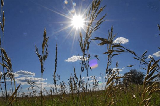 Օդի ջերմաստիճանը կնվազի. Առաջիկա օրերի եղանակը