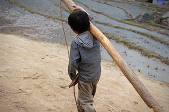 Հայաստանում 52 հազար աշխատող երեխայից 39 հազար 300-ը կատարում է արգելված աշխատանք