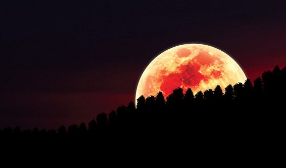 Լուսնային փոշով Արմսթրոնգի պայուսակը վաճառվել է 1.8 մլն դոլարով