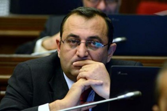 Արծվիկ Մինասյանը խստորեն դատապարտել է Սևանում ճայերի վրա կրակելու դեպքերը