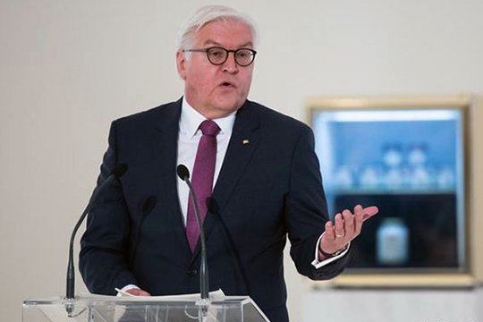 Գերմանիայի նախագահն աջակցել է Թուրքիայի դեմ պատժամիջոցներ սահմանելու կառավարության որոշմանը