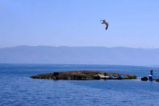 Սևանա լճի ավազանում բազմաթիվ ստորջրյա աղբյուրներ են հայտնաբերվել