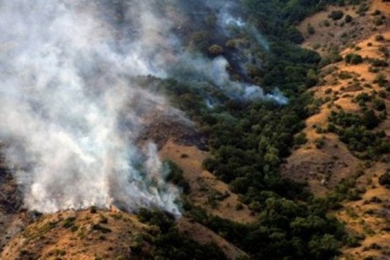 «Խոսրովի անտառ»-ում շուրջ 200 հա գիհի ծառատեսակներ են այրվել. hայտնի է վնասի նախնական չափը