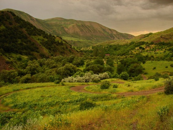 Հրդեհված «Խոսրովի» կենդանական աշխարհը