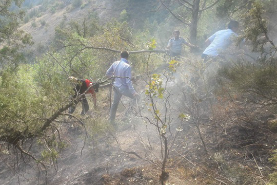 Խուստուփ արգելավայրում բռնկված հրդեհն ամբողջությամբ մարվել է