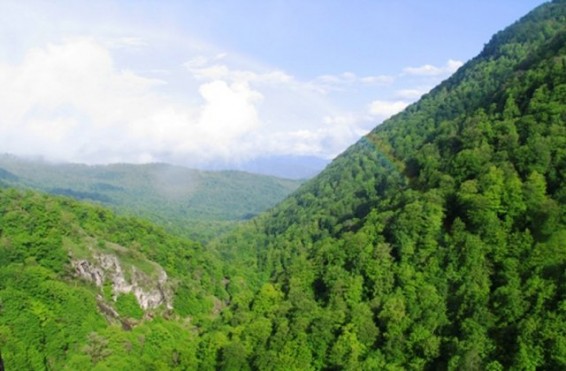 «Դիլիջան» ազգային պարկում հրդեհի բռնկման երկու դեպք է արձանագրվել