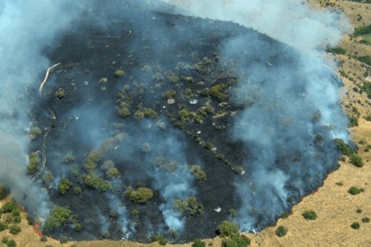 «Խոսրովի անտառում» մարվել է ծխացող 33 օջախ. ԱԻՆ
