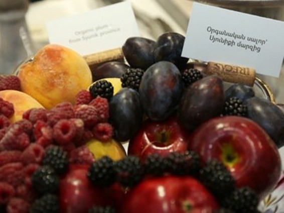 Սեպտեմբերը` օրգանական ամիս. Գյուղնախարարը մասնակցել է նախաձեռնության մեկնարկին