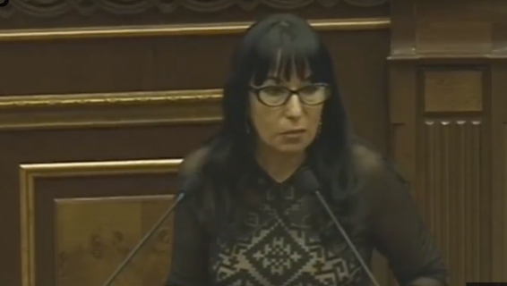 Video. Ում դուրը կգա, թե չի գա՝ այս համակարգը պետք է ամբողջությամբ վերանայվի. Նաիրա Զոհրաբյան